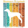 Rhodesian ridgeback