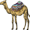 Camel