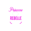 c'est compliqué princesse et rebelle