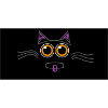 crazy cat