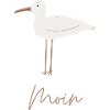 Moin Moin
