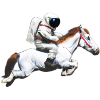 Astronaut on horseback?