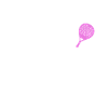 Padel Tennis
