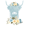 Scottish Highland Highland Cattle Highland