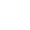 Liger Funny Gift