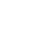 Cadeau amusant Liger