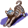Cute Yoga Cat