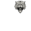 Cadeau amusant Liger