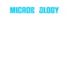 Science Microbiology Microbiologist