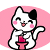 Cute cat