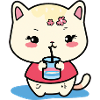 Cute cat