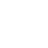 Spinosaurus fossil skull