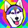 Niedliches Regenbogen Husky Comic Design