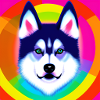 Cute Rainbow Husky Comic Design