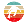 Skating Retro
