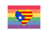 Bandera Independentista Catalana Estelada Negra