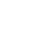 Pickleball Posse