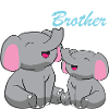 Eléphants - Big Brother