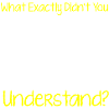 What Exactly Didn't You Understand