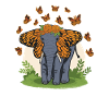 Elephant, butterfly ears, elephant lovers.
