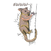 Funny Opossum, Opossum EWWW