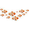 Aquarium aquarist "Clownfish fish shoal"