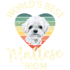 Maltese Dog