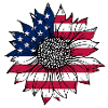 American Sunflower