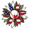 Baseball Sonnenblume