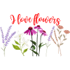 I love flowers
