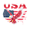 USA America US American Patriotic
