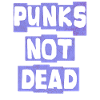 Punk Punk Rocker Punks Punker Music