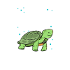 Schildkröte Turtle Meer Meeresbewohner Geschenk