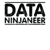 Ninjaneer - Data Engineer
