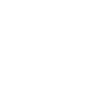 Ninjaneer - Computer Engineer