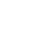 Ninjaneer - Civil Engineer