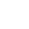 Ninjaneer - Automotive Engineer