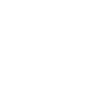 Ninjaneer - Electrical Engineer