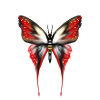 PAPILLON gif 1