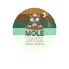 Chemistry Mole Problems