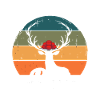 schwarzwaldbub Schwarzwald Bollenhut