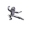 Kung Fu Astronaut