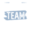 Équipe de natation