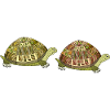 Turtles