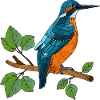 Bunter Vogel