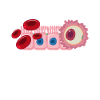 Biology Biologist Comic Molecular Biologist