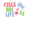 Biology Biologist Cells Molecular Biologist