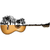 Nature guitar