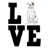 Bouledogue américain