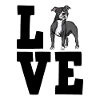 American Staffordshire Terrier